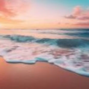 Meet your Posher, Sofia